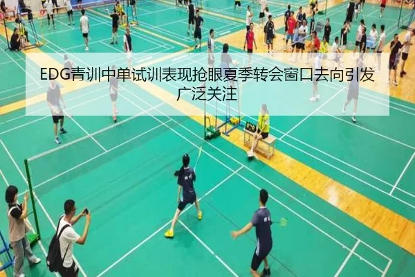 EDG青训中单试训表现抢眼夏季转会窗口去向引发广泛关注（bwty88.comapp）